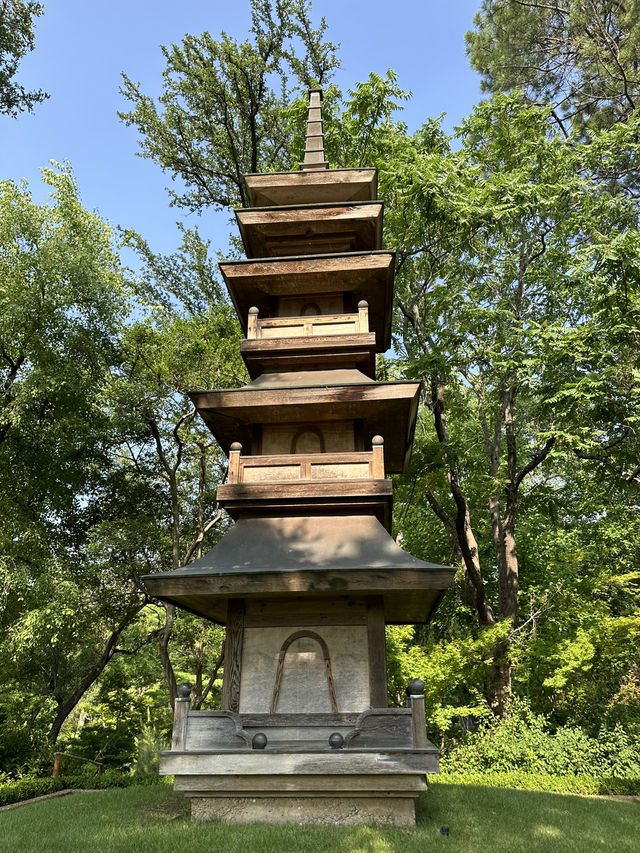 在美國🇺🇸最不美國的地方—-德州的城市綠洲🍃快點記錄下來！
