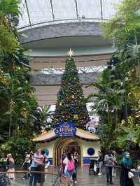 Christmas Wonderland Awaits at Jewel Changi 