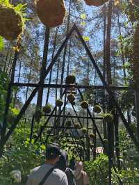 A Forest Sanctuary at Orchid Forest Cikole