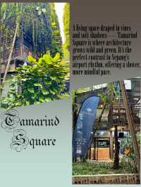 Urban Jungle Diary – 24 Hours at Tamarind Square