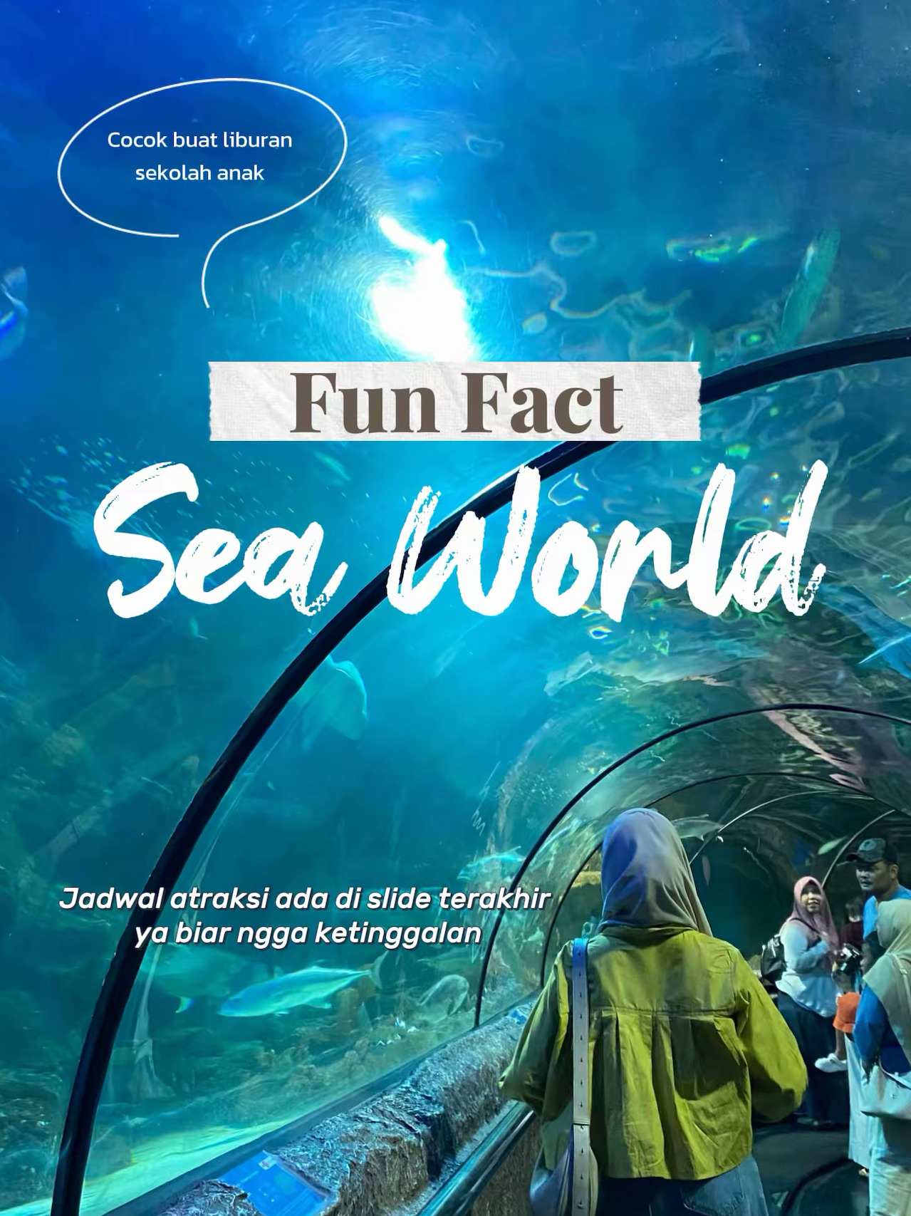 ข้อเท็จจริงสนุกๆ เกี่ยวกับ Sea World ที่คุณควรรู้!