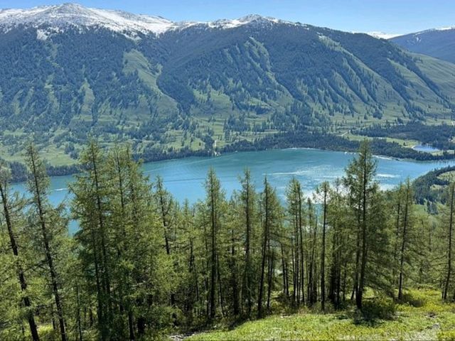 “Autumn Wonder of Kanas Lake” “Autumn Wonder of Kanas Lake”