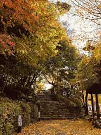 Historical Immersion and Unhurried Atmosphere