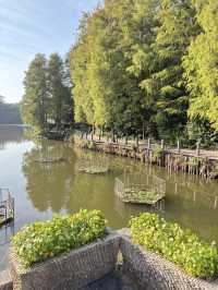 山丘環抱下的寧靜寺廟  