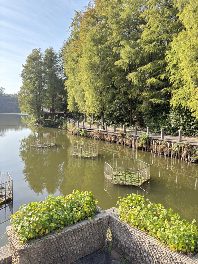 山丘環抱下的寧靜寺廟  