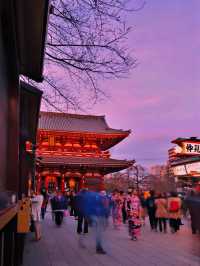 Sensoji Lights Up🌙