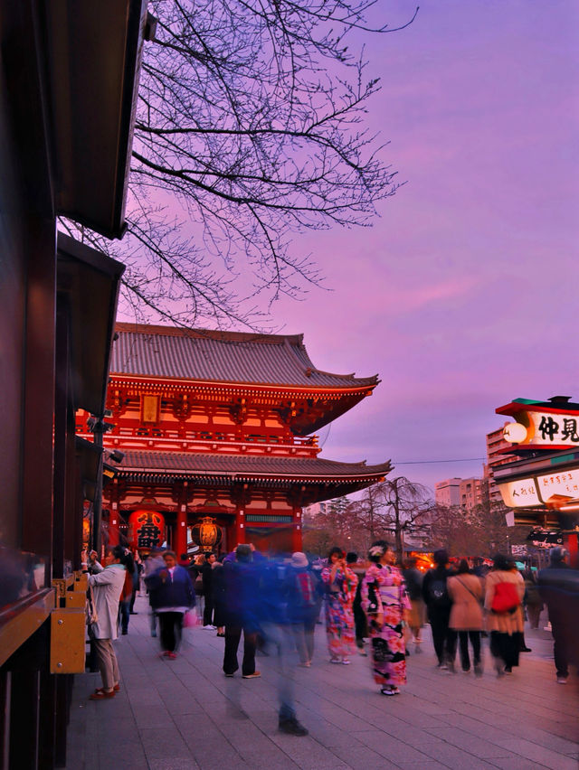 Sensoji Lights Up🌙