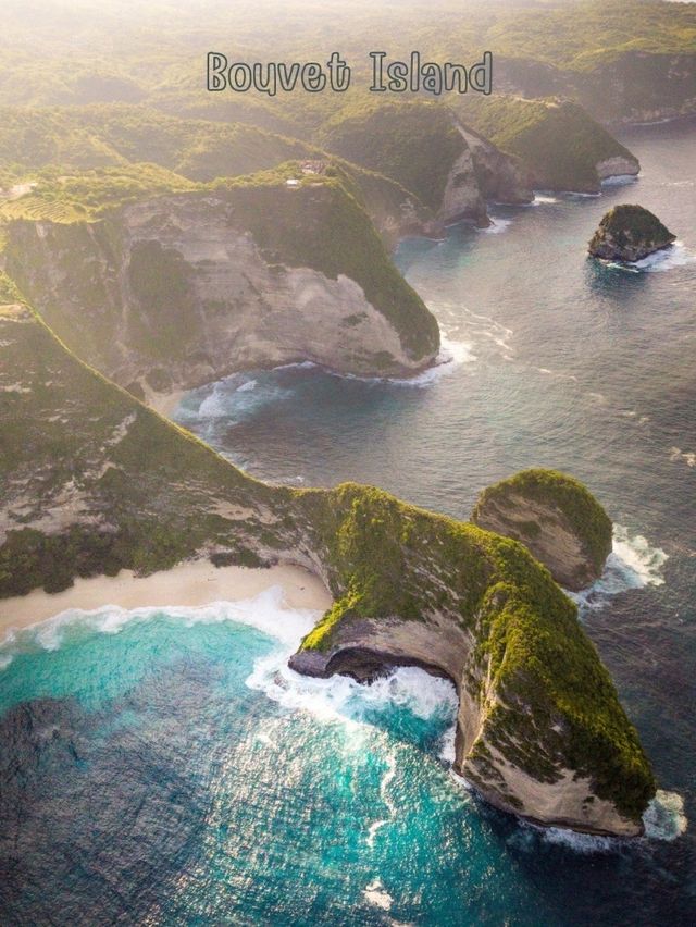 Penguin Austria Penguin Austria