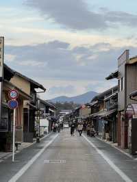 Inuyama Autumn Walk🍁