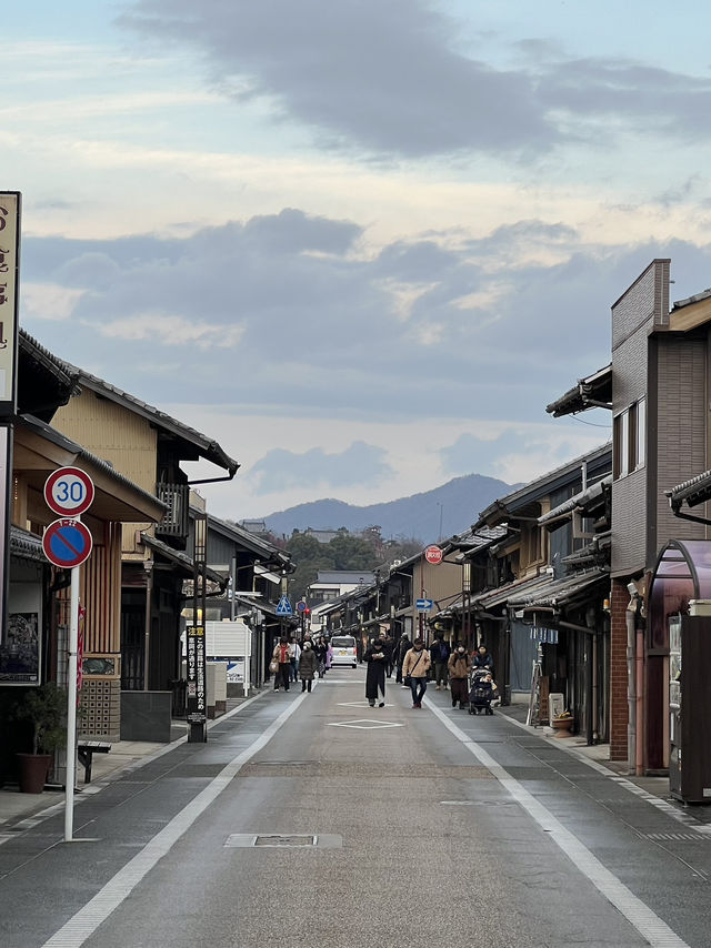Inuyama Autumn Walk🍁