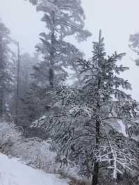 Xiling Snow Mountain