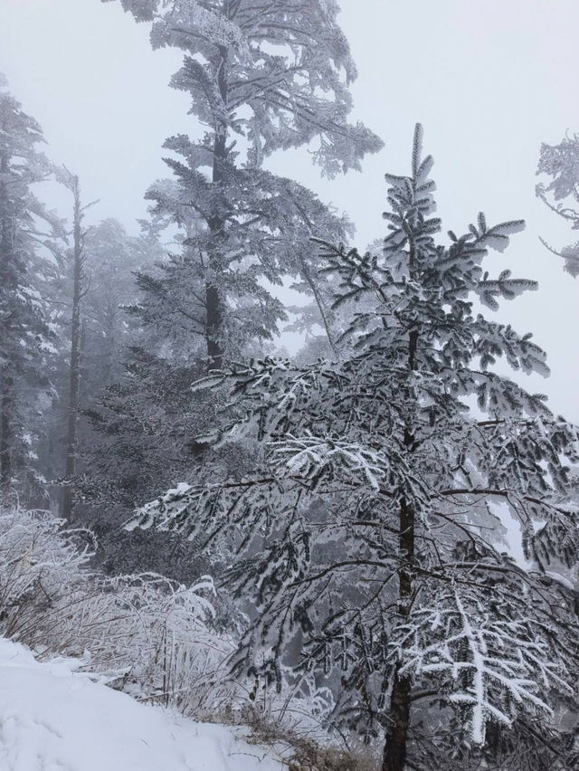 Xiling Snow Mountain Xiling Snow Mountain