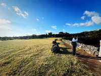 🎄 Festive Escape: Relax at Cat Nose Head