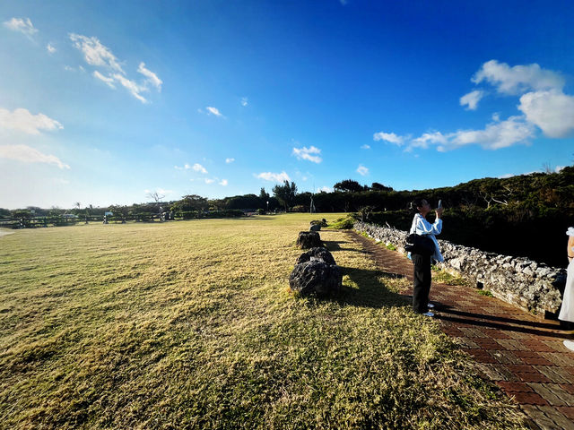 🎄 Festive Escape: Relax at Cat Nose Head 🎄 Festive Escape: Relax at Cat Nose Head