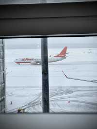 用雙眼、雙腳走進北海道的雪白世界裡