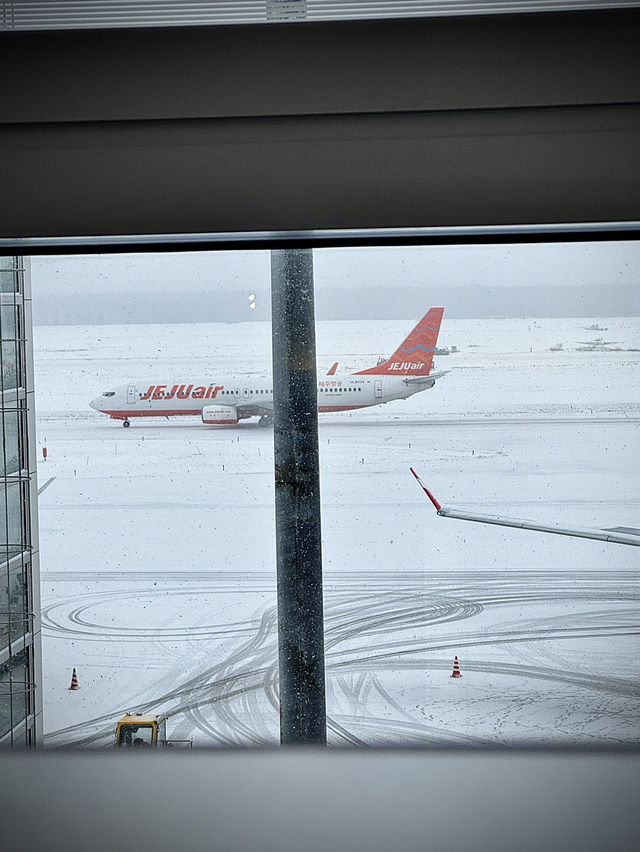 用雙眼、雙腳走進北海道的雪白世界裡