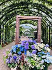 Harbor Charms: A Day in Yokohama