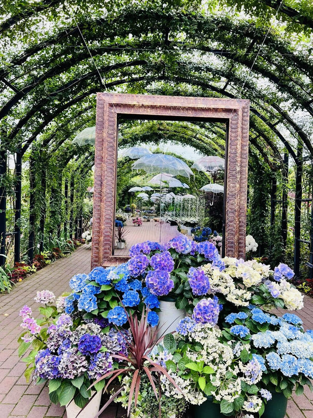 Harbor Charms: A Day in Yokohama Harbor Charms: A Day in Yokohama