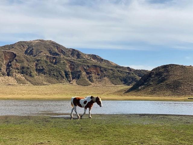 🌋✨ Mt. Aso (ภูเขาไฟอะโสะ) 🌋✨ Mt. Aso (ภูเขาไฟอะโสะ)