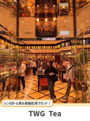 シンガポール】お土産にもカフェにも🫖✨ 紅茶好きなら外せない「TWG