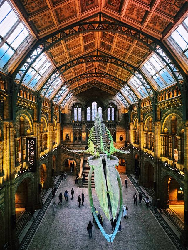 ロンドン自然史博物館（Natural History Museum London）