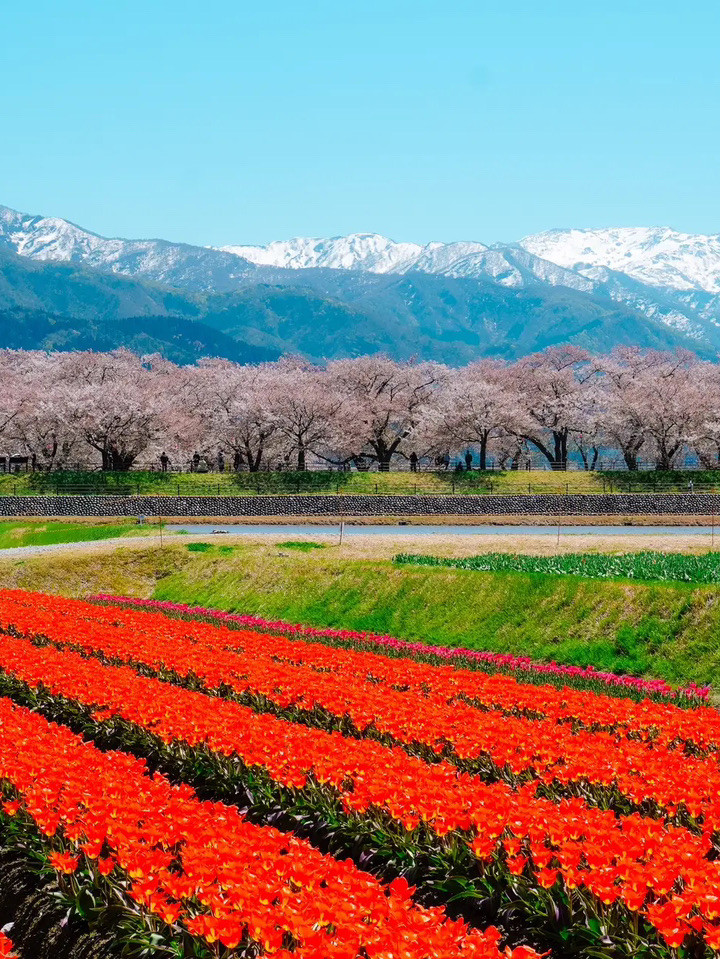 Asahi Funakawa Spring Quartet, Toyama | Trip.com Asahi