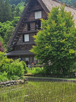 日本旅行，這種屋應該是第一次見吧？白川鄉全攻略。
