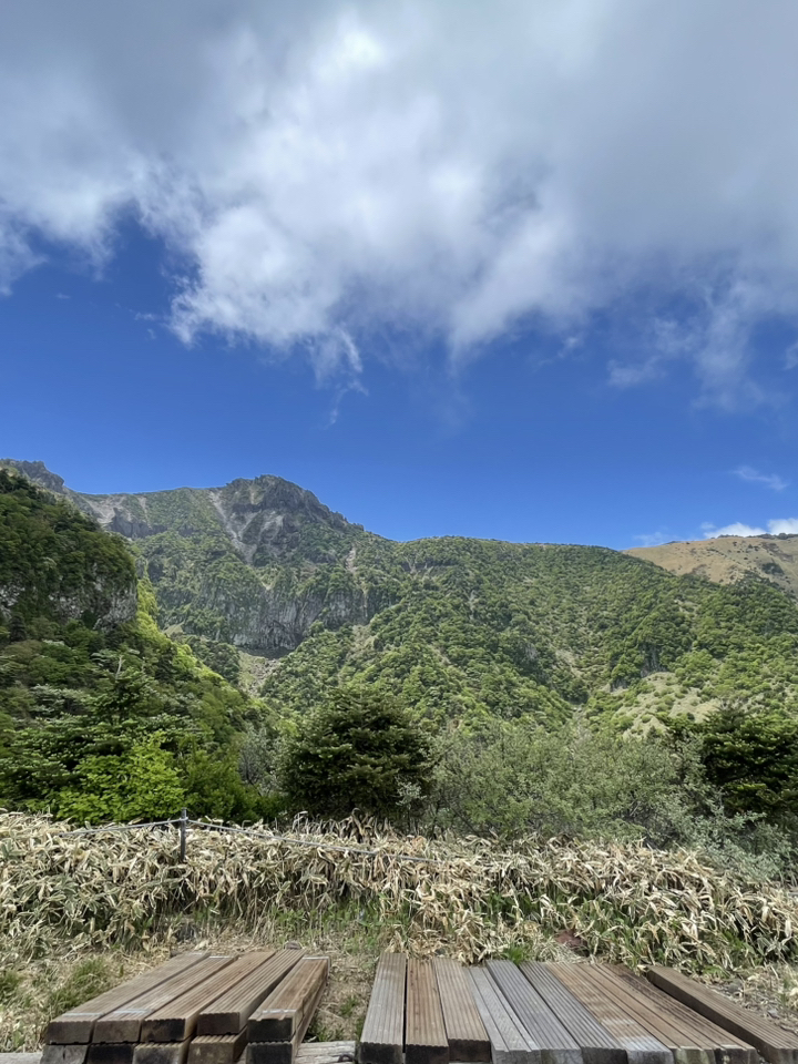 登山の醍醐味 - 韓国最高峰の山、漢拏山（ハルラサン） - 。 | Trip
