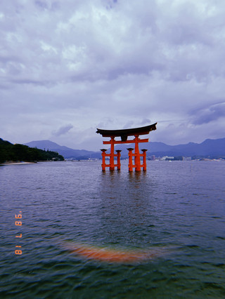✨ Saksikan Keajaiban di Kuil Itsukushima 🛖🌊