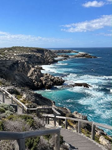 🏝️✨ Rottnest Island – Australia 🇦🇺