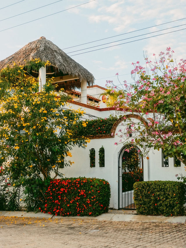オアハカから気軽に行けるビーチリゾート🏝️プエルト・エスコンディード🇲🇽