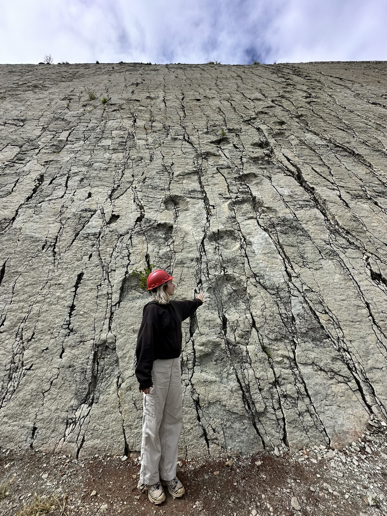 Real Dinosaur Footprints in Sucre, Bolivia! 🇧🇴