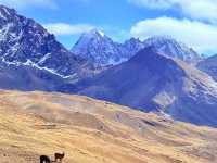 🌈 秘魯 彩虹山遊記｜兩訪 Vinicunca 的輕鬆攻頂方式 🚙🐎