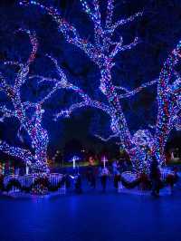 Free Light Forest in DFW