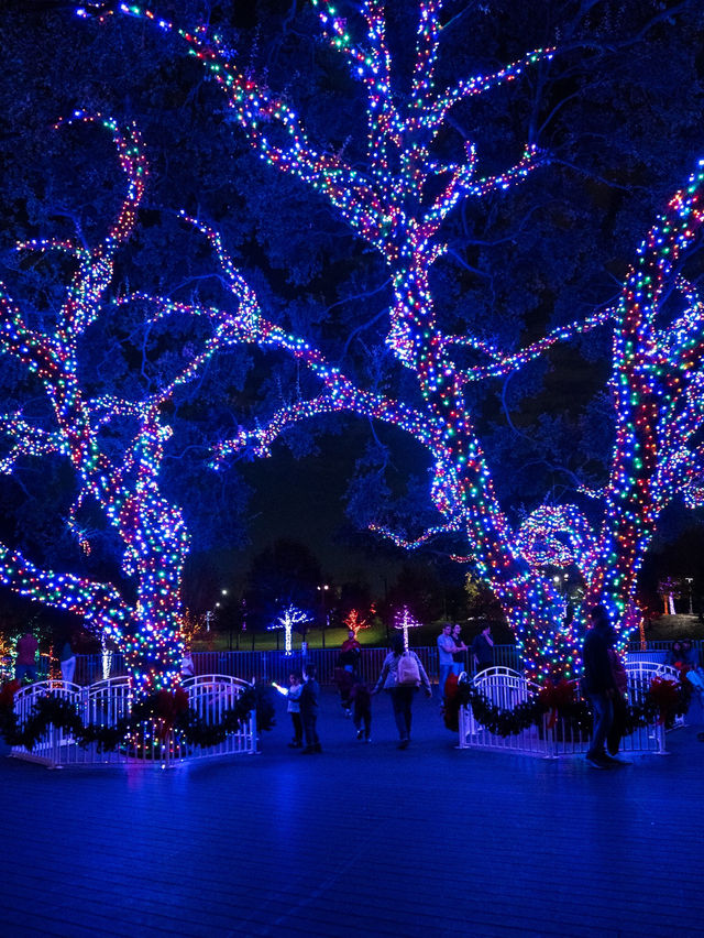 Free Light Forest in DFW