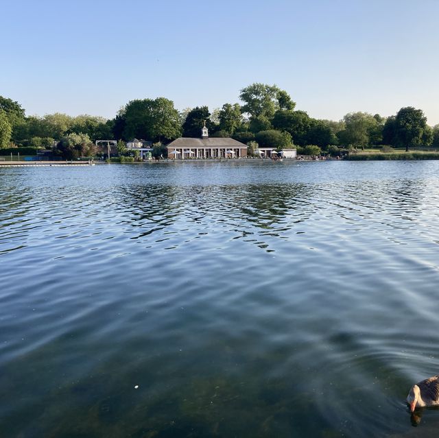 Kensington Park & Hyde Park 肯辛頓公園 海德公園