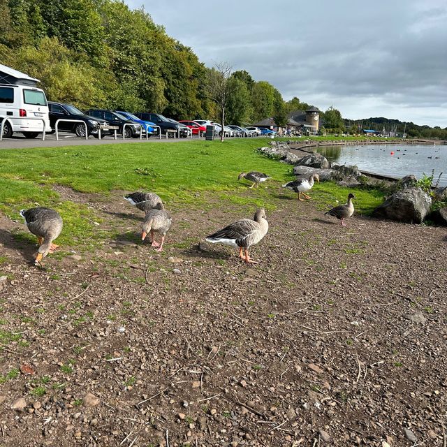 CASTLE SEMPLE COUNTRY PARK