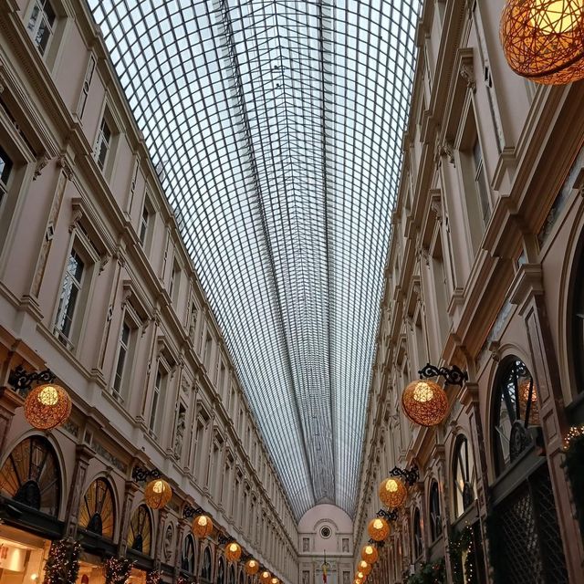 Royal Gallery of Saint Hubert 😍
