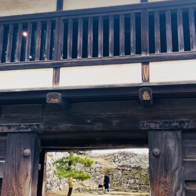 【滋賀県/国宝  彦根城🏯】