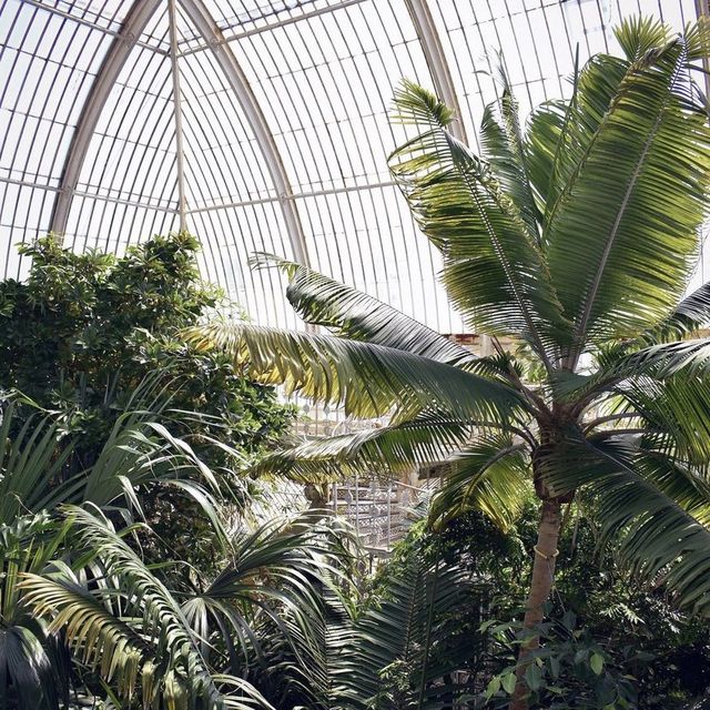 Kew Gardens: A Botanical Paradise