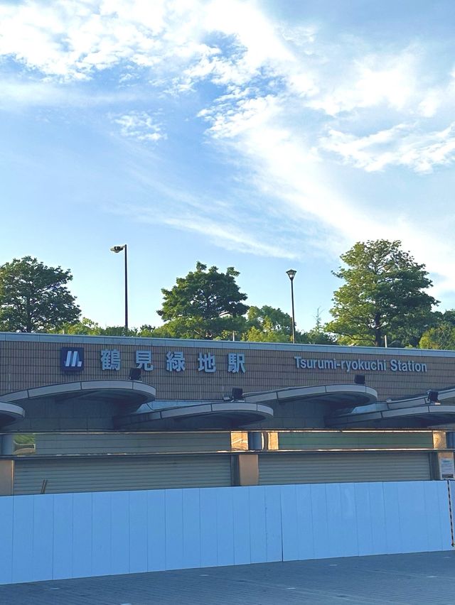 【大阪】風車のある公園の向日葵畑♡