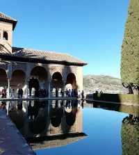 Historic Harmony in Granada's Alhambra