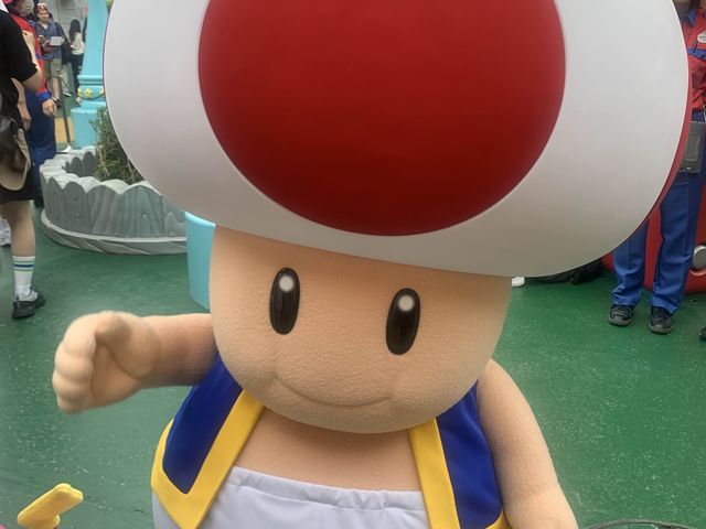 Became a Mario in Nintendo World 
