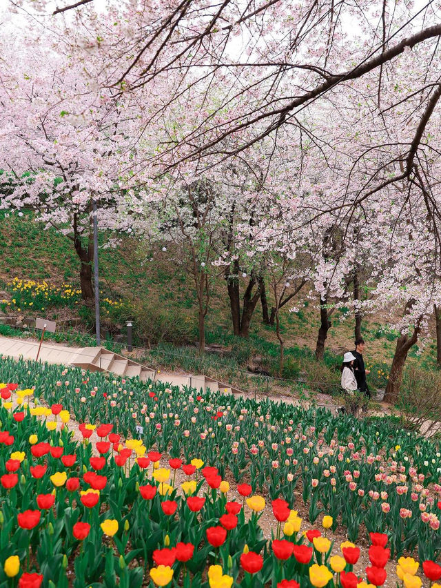 안산 연희숲속쉼터 🌺🌸