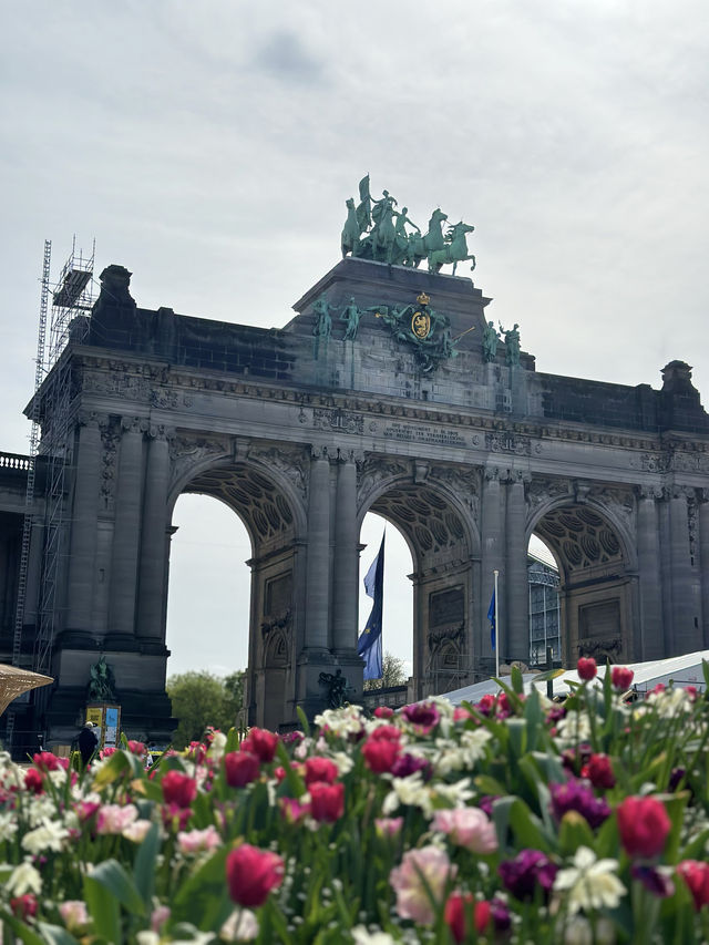 Learn While You Play at Cinquantenaire Park 