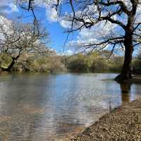 Embarking Epping Forest without escaping London