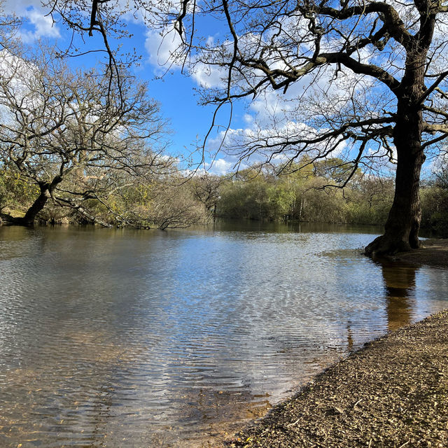 Embarking Epping Forest without escaping London