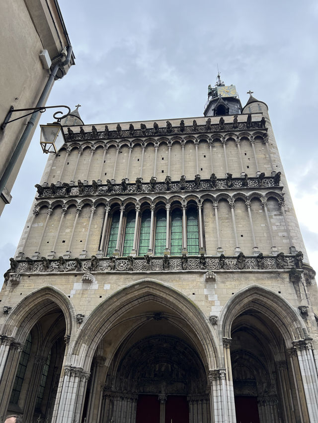 🇫🇷소도시 디종 부엉이 찾기 여행