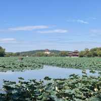 A autumn Day in The Summer Palace