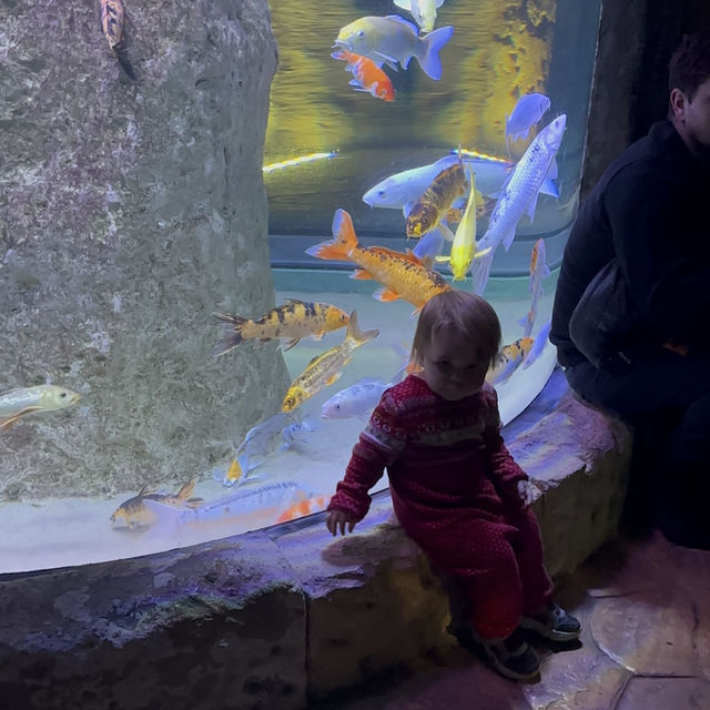 Malta National Aquarium: An Underwater Adventure 🌊🐠